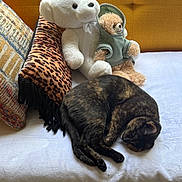 Mavis joined the competition — help win amazing prizes! cat, tortoiseshell, sleeping, plush_toy, teddy_bear, pillow, leopard_print, blanket, bed, cozy, indoor, resting, cute, feline, fur, animal, soft, comfort, nap, domestic