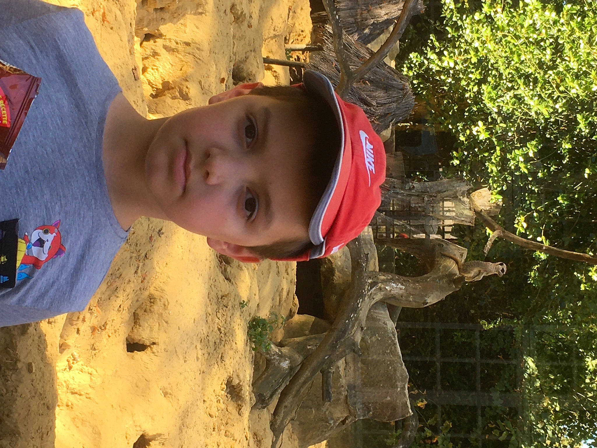 William participe au concours pour gagner de l'argent avec cette photo : adaptation, adventure, child, fun, grass, happy, hat, headgear, headwear, landscape, leaf, leisure, people_in_nature, person, plant, soil, sunlight, toddler, tree, trunk