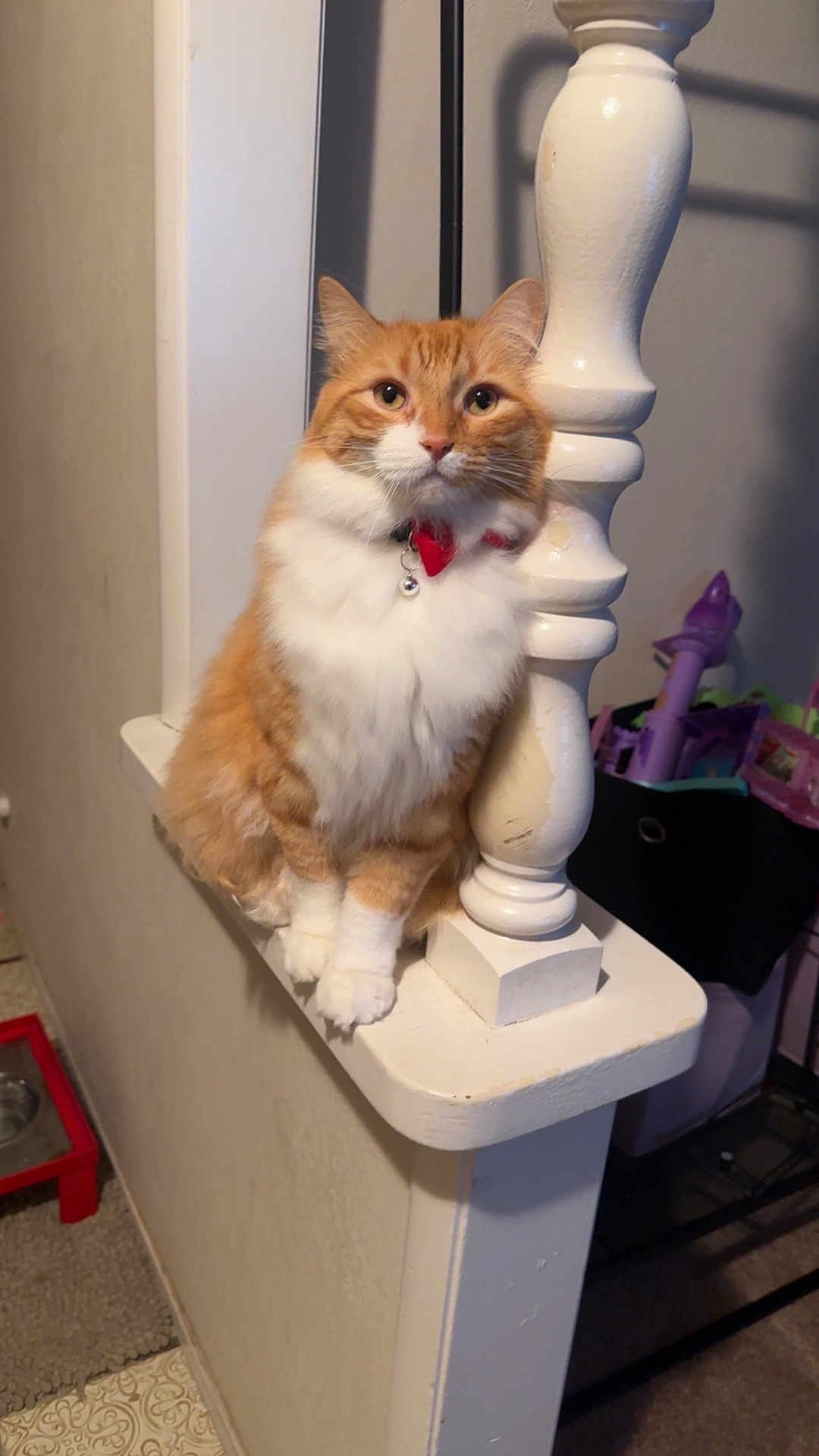 Oliver