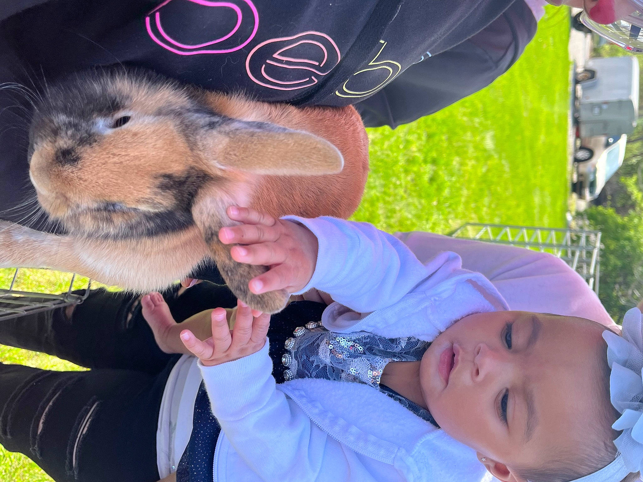 Skye is registered to the contest to win money with this photo: baseball_cap, carnivore, child, companion_dog, dog, dog_breed, dog_clothes, fawn, fun, fur, gesture, grass, happy, hat, interaction, person, selfie, sporting_group, sun_hat, toddler