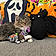 Meowzi