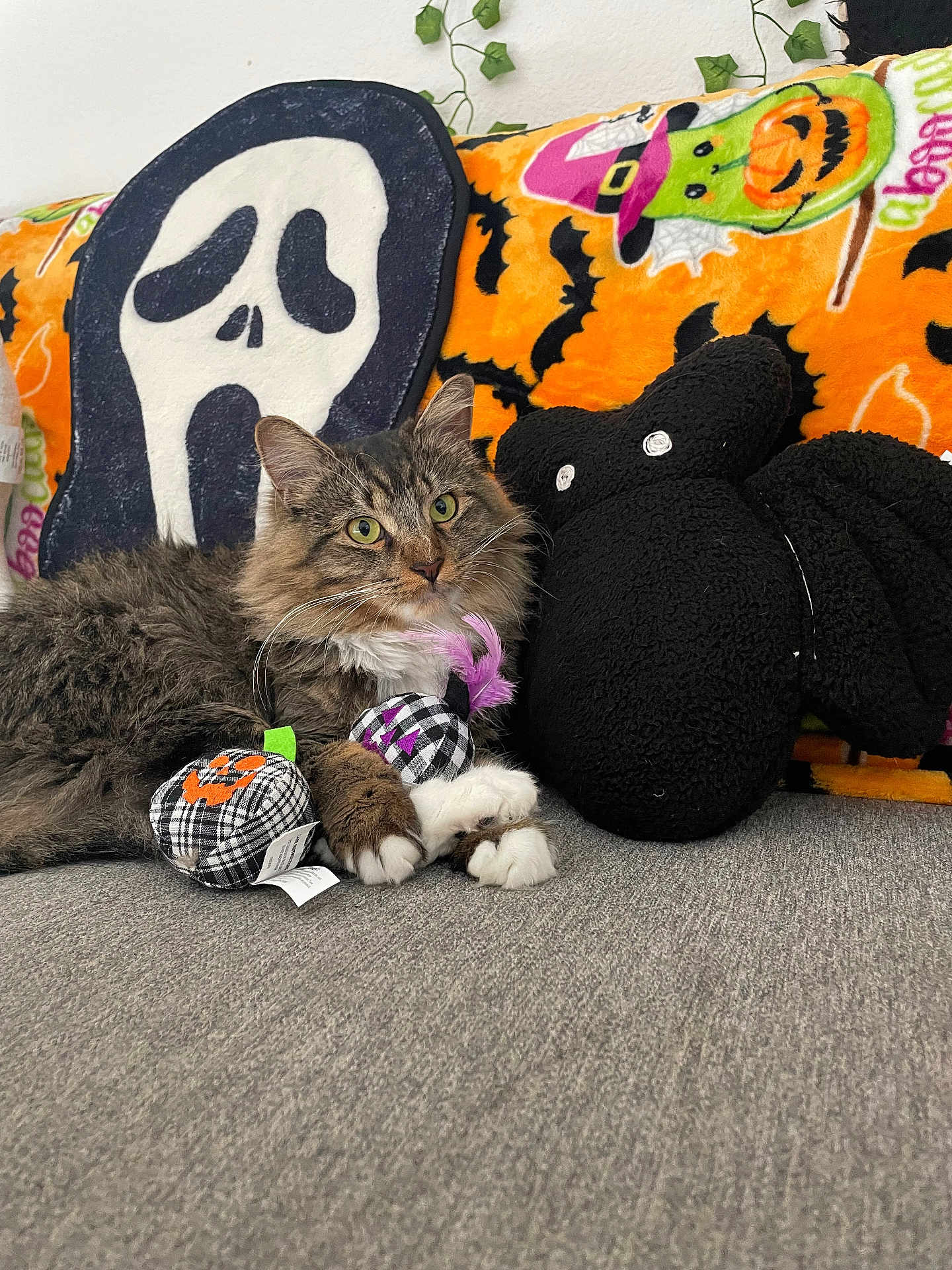 Meowzi