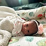 newborn, baby, blanket, headband, flower, avocado_pattern, cushion, infant, cute, sleeping_area, soft_texture, closeup, resting, portrait, indoors, cozy, child, small, adorable, peaceful