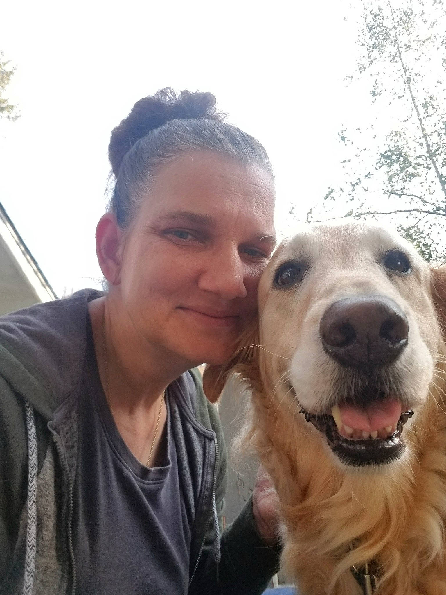 Cody is registered to the contest to win money with this photo: canidae, carnivore, companion_dog, dog, dog_breed, ear, fawn, fun, fur, giant_dog_breed, happy, jaw, selfie, sky, smile, snout, sporting_group, travel, tree, working_animal