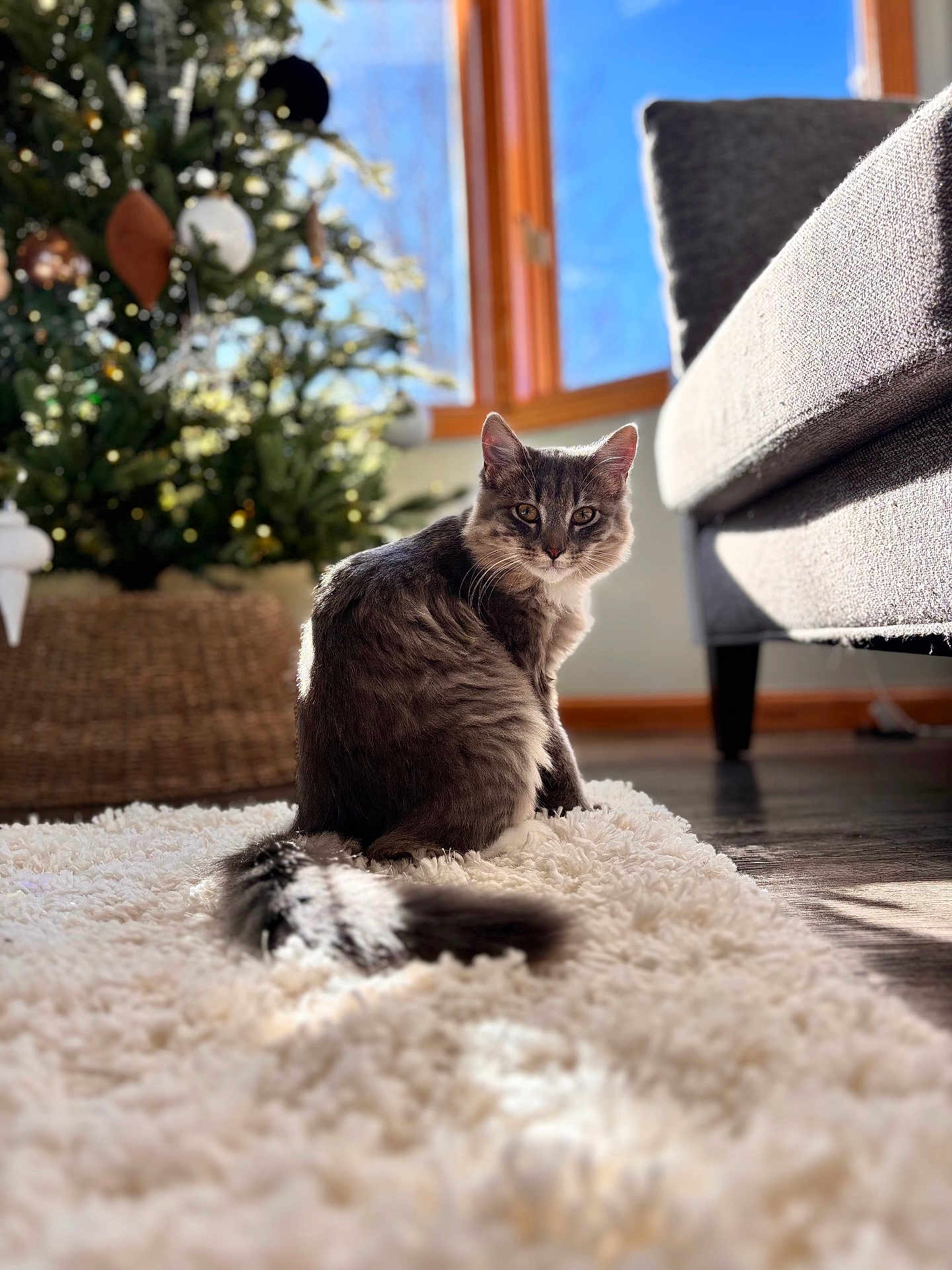 Smudge