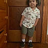 toddler, child, standing, shirt, dinosaur_print, shorts, socks, shoes, wooden_floor, wooden_door, dresser, indoor, smile, curly_hair, casual_pose, home, door_handle, young_child, portrait, cute