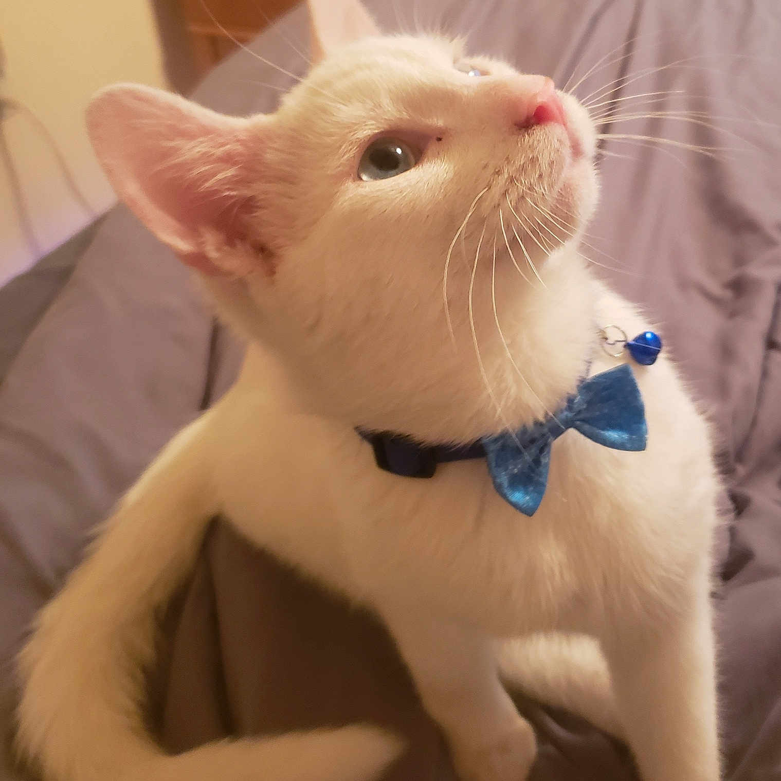 Jack