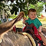 animal, child, curly_hair, daylight, donkey, fur, grass, greenery, hand, holding, nature, outdoor, person, playful, saddle, smiling, tattoo, toddler, tree, young_child