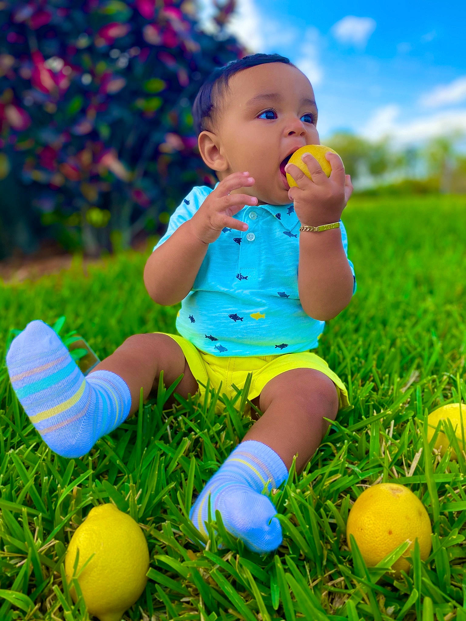Carlo is registered to the contest to win money with this photo: azure, baby, baby_toddler_clothing, ball, blue, cloud, finger, grass, green, happy, leaf, light, nature, people_in_nature, person, plant, shorts, sky, standing, toddler