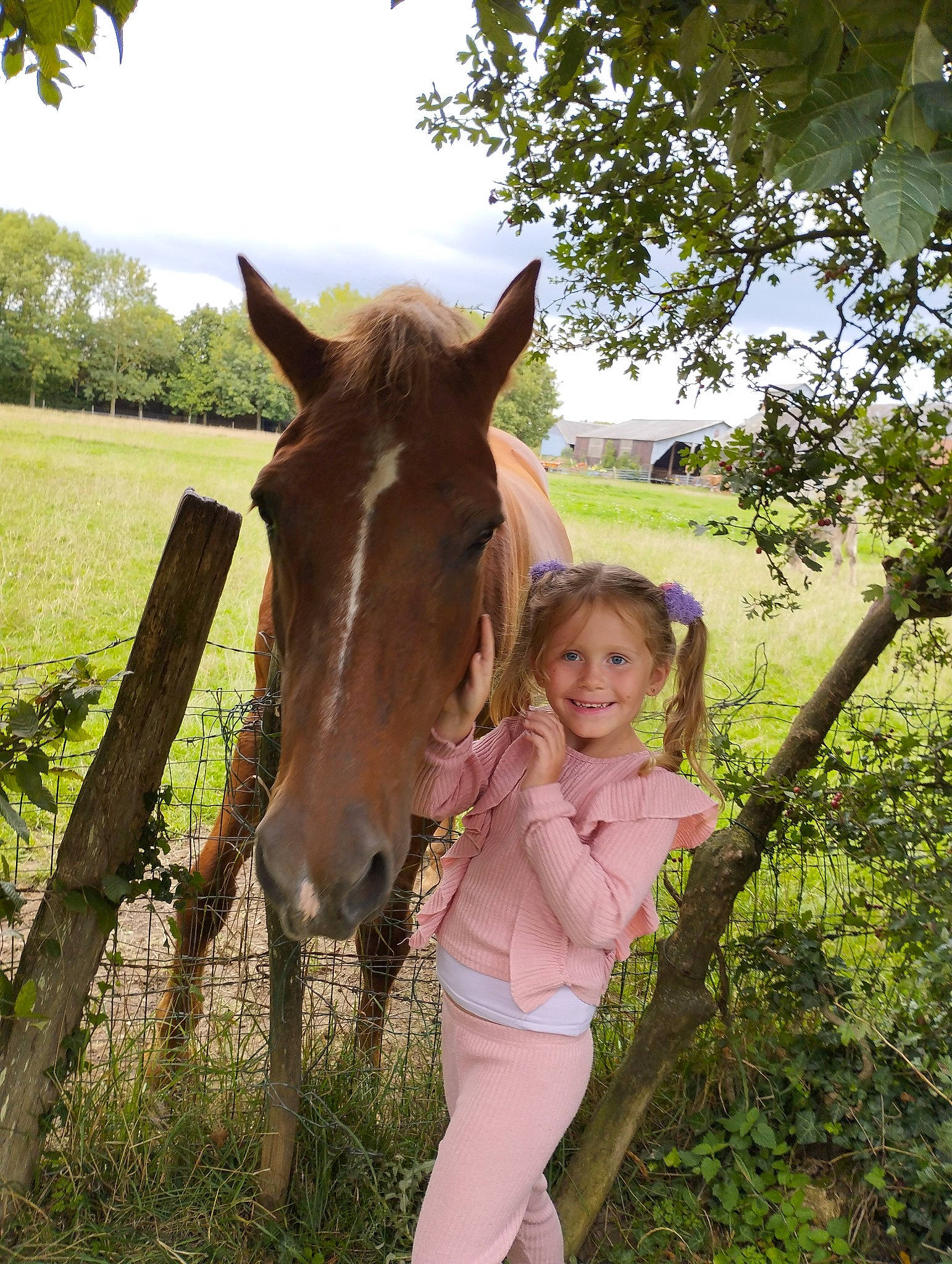 Elya a rejoint le concours — aidez-le/la à gagner de superbes lots ! bridle, fence, grass, grassland, happy, horse, horse_supplies, joy, landscape, liver, mane, meadow, pack_animal, pasture, people_in_nature, person, plant, recreation, sky, smile