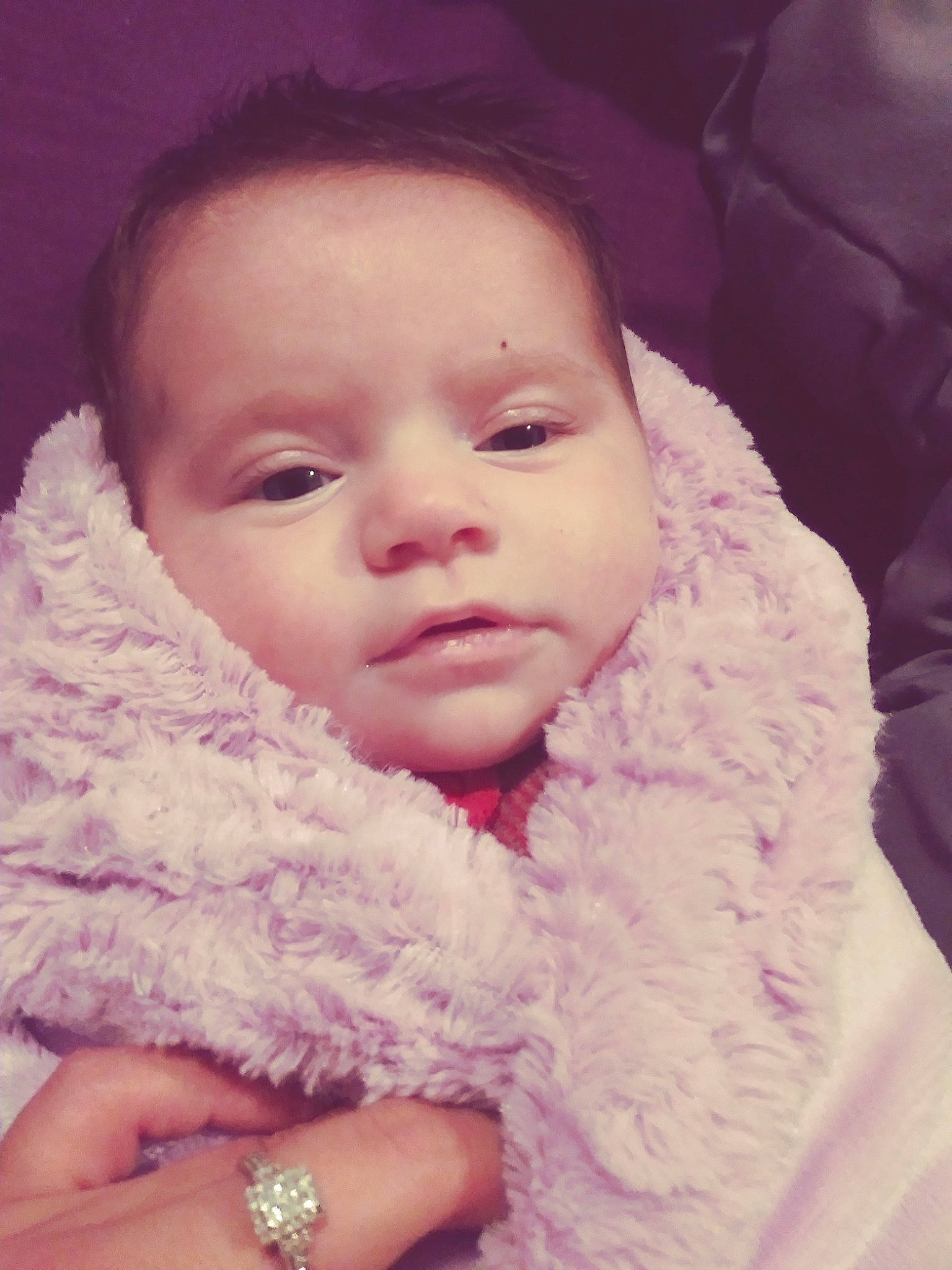 Lavina joined the competition — help win amazing prizes! beauty, cheek, child, eye, eyebrow, face, fur, girl, head, human, human_hair_color, infant, lip, nose, person, pink, purple, skin, smile, textile