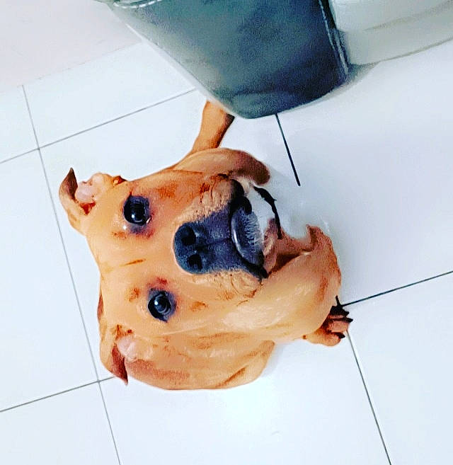 Shania a rejoint le concours — aidez-le/la à gagner de superbes lots ! baked_goods, chocolate_chip, cream, cuisine, dairy, dessert, dish, dog, eyewear, fawn, food, frozen_dessert, gelato, gesture, hat, ice_cream, ingredient, recipe, tableware, wood