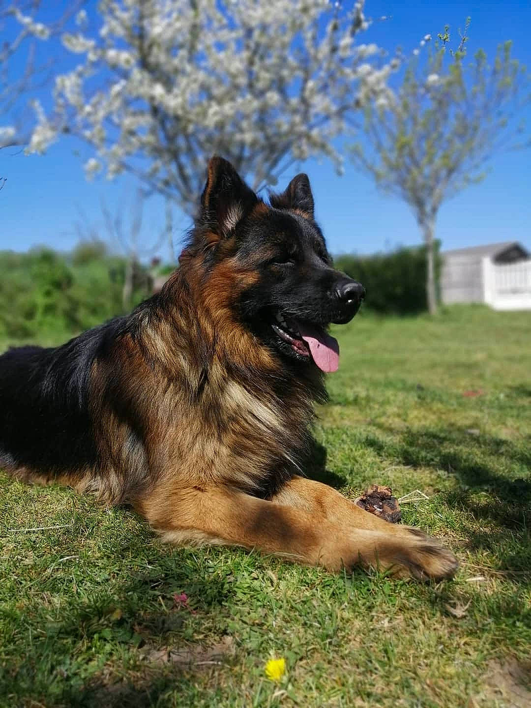 Newton De La Vallée De La Garde