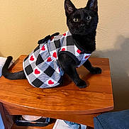Pippi joined the competition — help win amazing prizes! black_cat, kitten, cat, pet, dress, clothing, hearts, table, wooden_table, furniture, indoor, curious, alert, animal, mammal, small_cat, domestic_cat, cute, young_cat, sitting