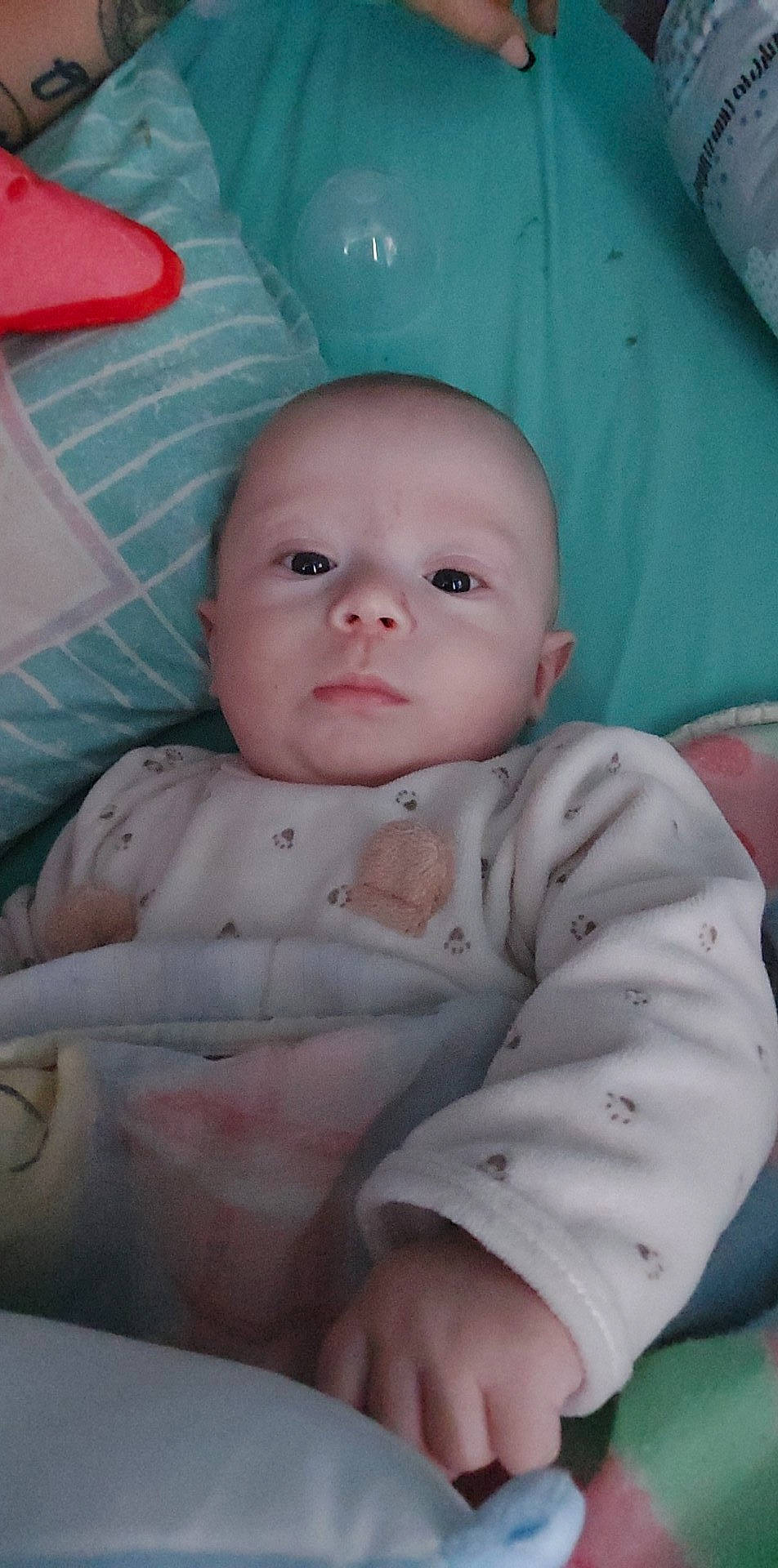 Timaé participe au concours pour gagner de l'argent avec cette photo : baby, baby_products, baby_toddler_clothing, cheek, child, comfort, eye, eyebrow, face, head, iris, linens, lip, mouth, nose, person, pink, sitting, skin, sleeve