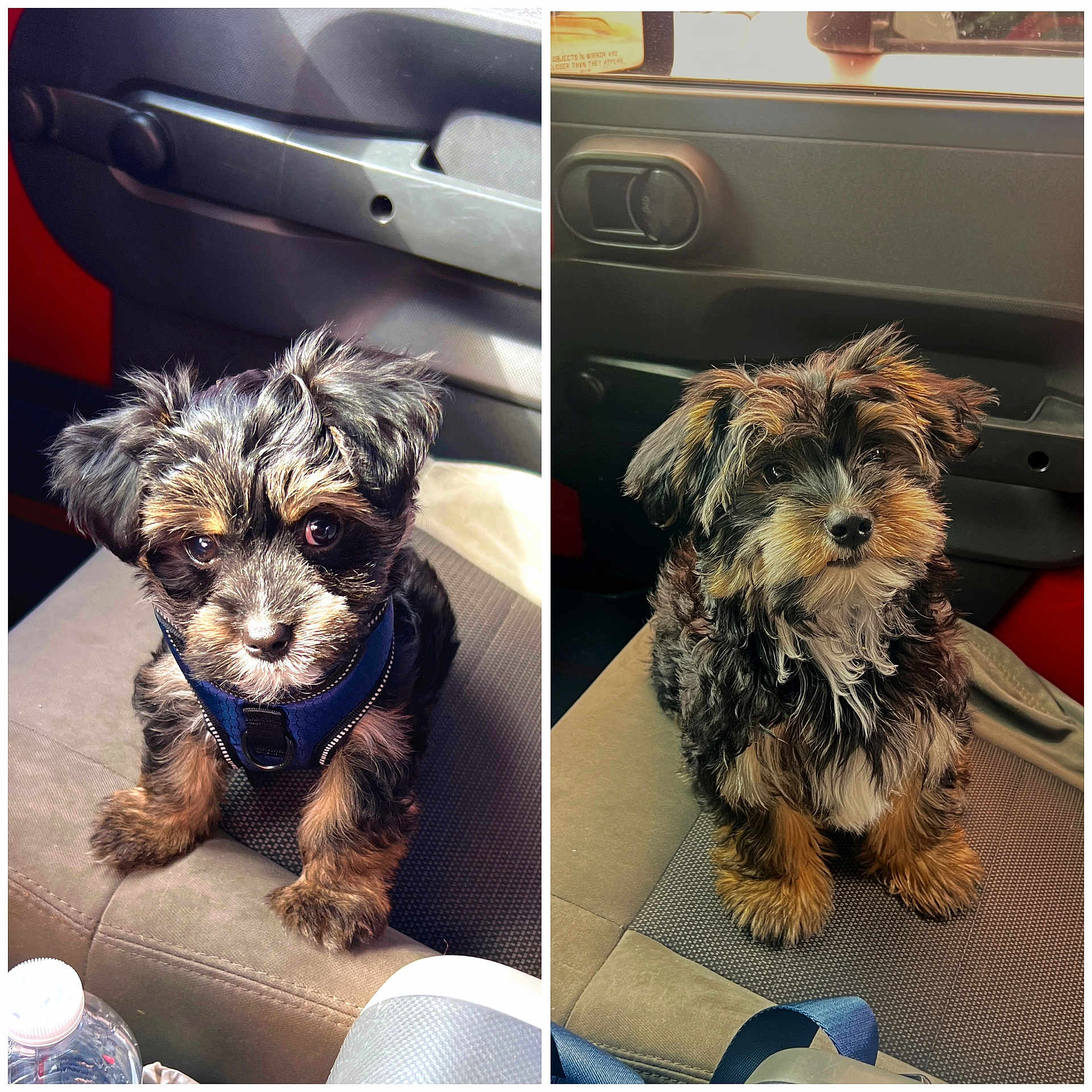 Benny