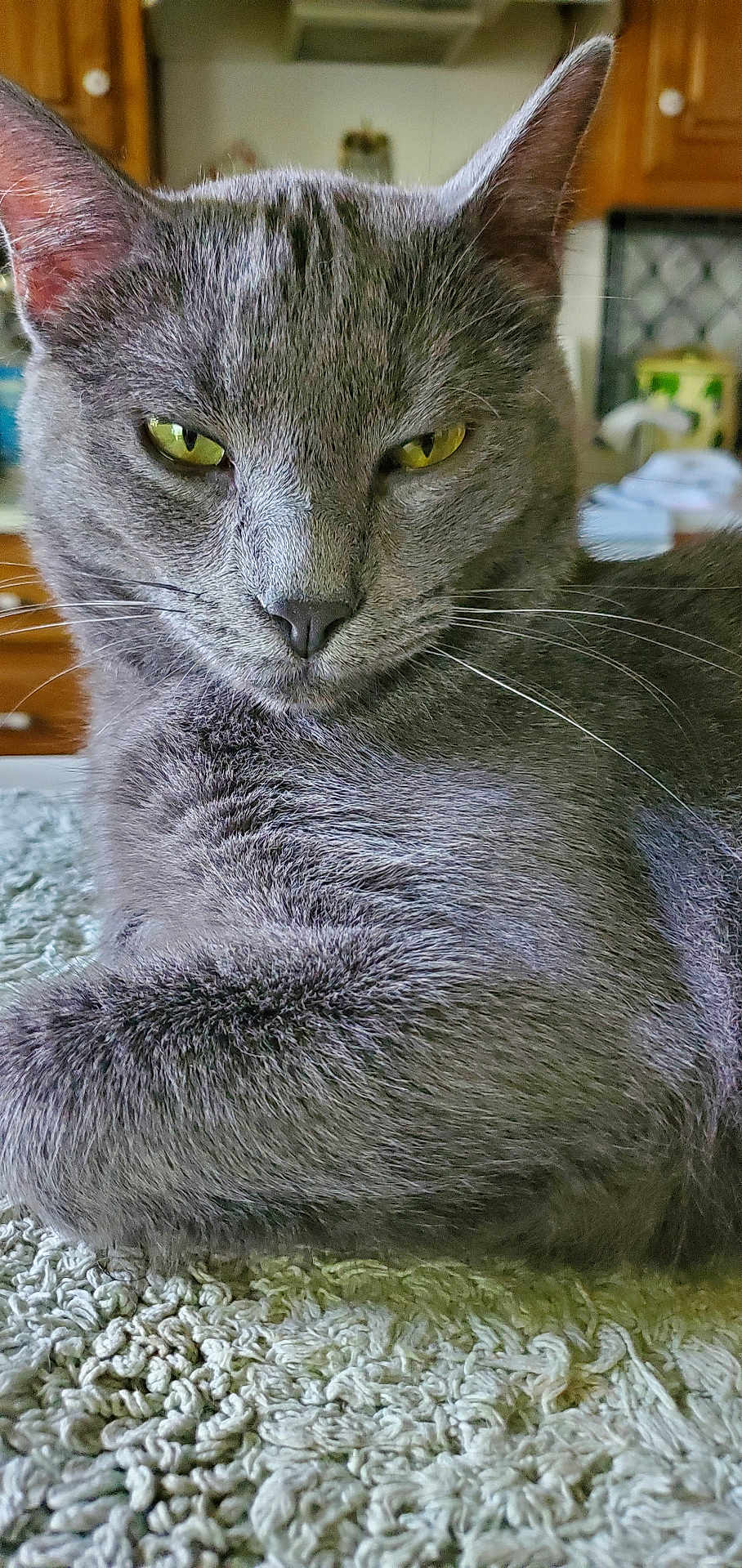 Mao