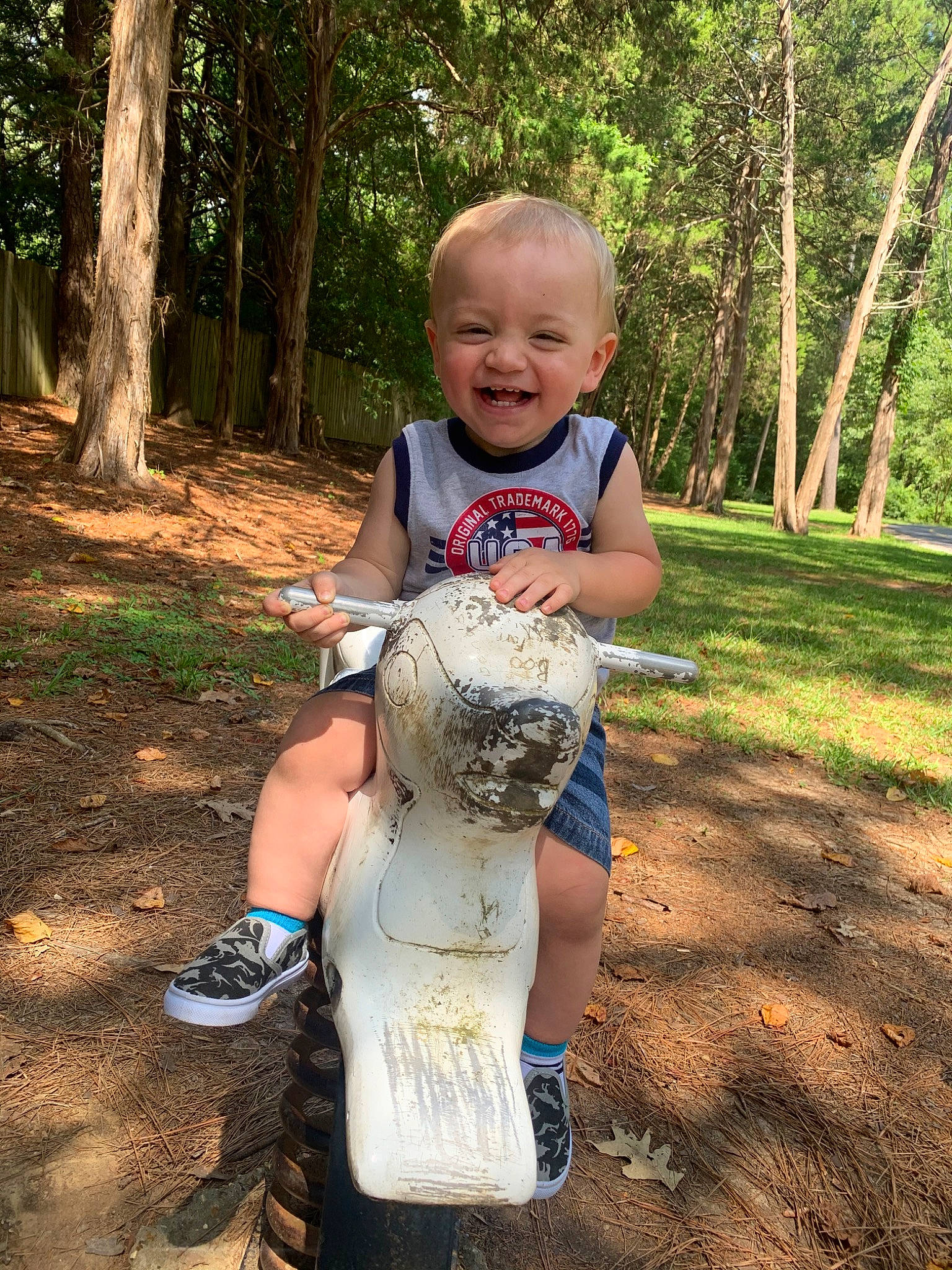 Kurtis joined the competition — help win amazing prizes! child, joy, person, toddler, tree