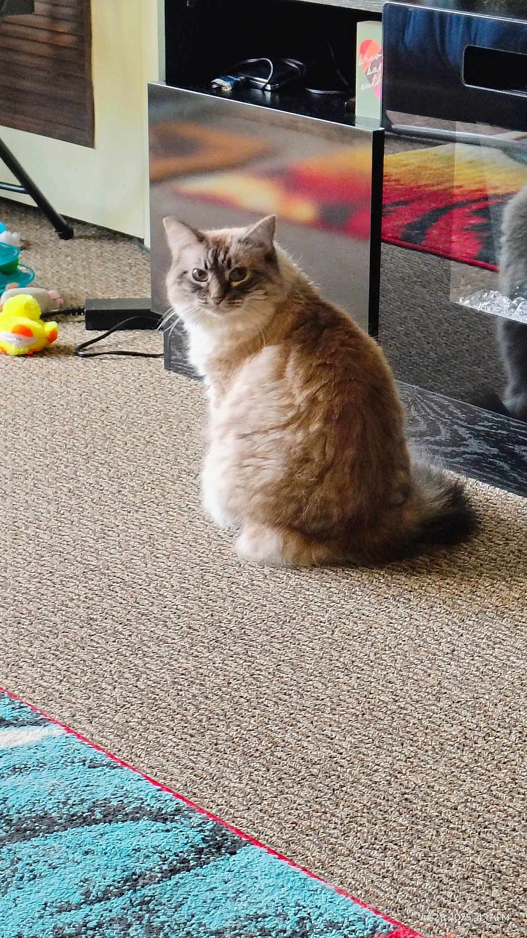 Isabella