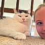 Miso is registered to the contest to win money with this photo: cat, white_cat, black_markings, carpet, wooden_spindles, girl, child, face, smile, pet, indoor, cozy, close_up, relaxed, feline, animal, cute, playful, portrait, home
