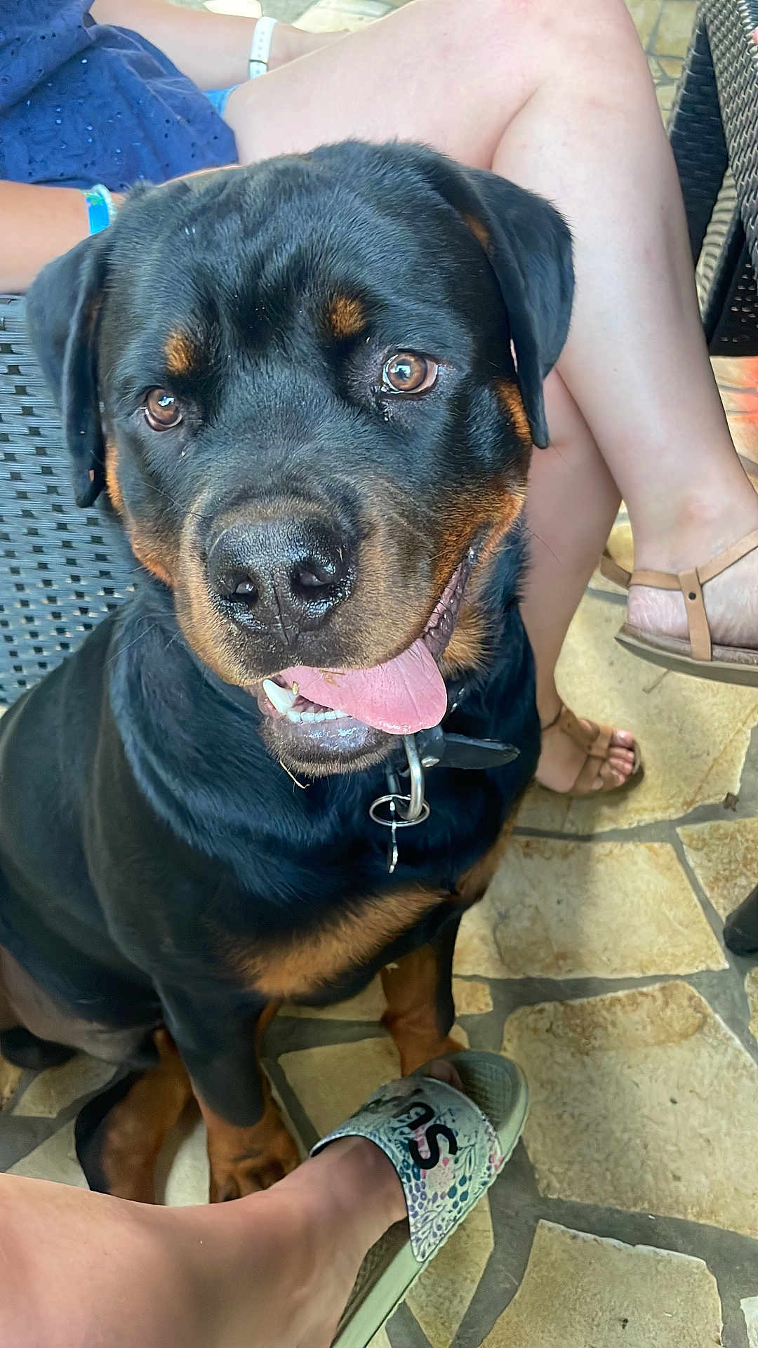 Ares