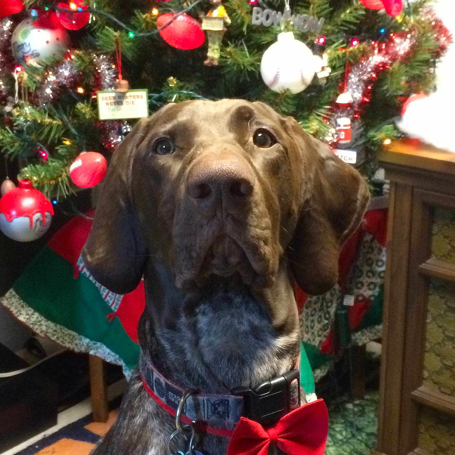 Colt is registered to the contest to win money with this photo: