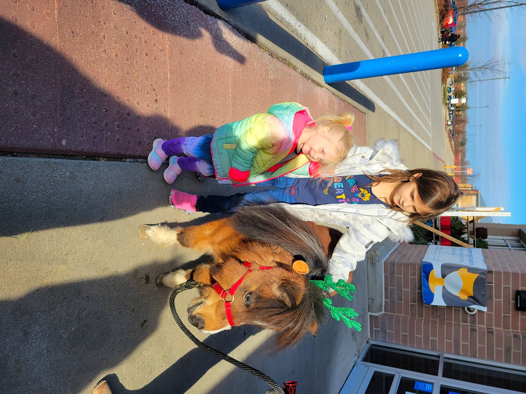 Gemma joined the competition — help win amazing prizes! asphalt, blue, child, event, fun, fur, hat, joy, leisure, person, recreation, sidewalk, street, toddler, vacation