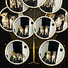 black_background, brown_and_white, circular_frames, decorative_graphics, dog_collage, dogs, family_tree, gold_design, indoor, multiple_portraits, pet_memorial, pet_portrait, photo_collage, puppies, seated_dogs, short_hair, small_dogs, text_overlay, two_dogs, typography
