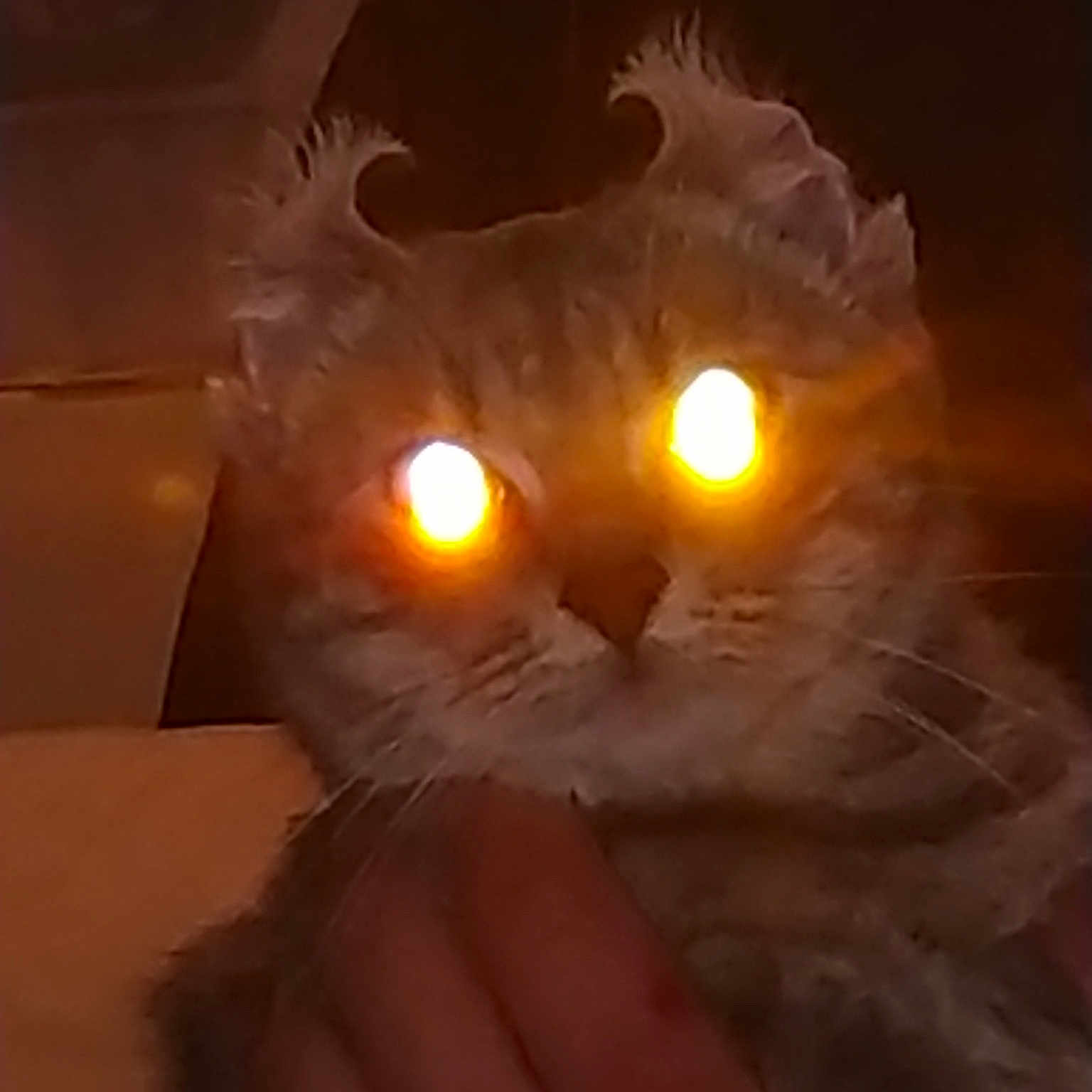Nalla