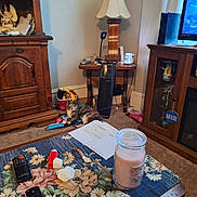 Cali is registered to the contest to win money with this photo: animal, calico_cat, candle, carpet, cat, cat_toys, coffee_table, floral_tablecloth, furniture, heater, home_decor, indoors, lamp, living_room, pet, relaxed, remote_control, sitting, television, wooden_cabinet