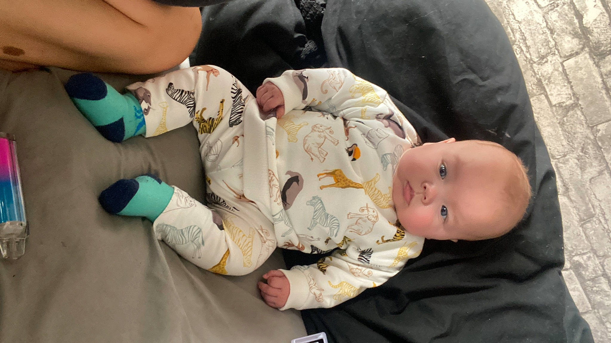 Noah joined the competition — help win amazing prizes! baby, baby_products, baby_toddler_clothing, cheek, child, comfort, elbow, gesture, hand, human_leg, knee, lap, mammal, nail, person, sitting, skin, thumb, toddler, tree