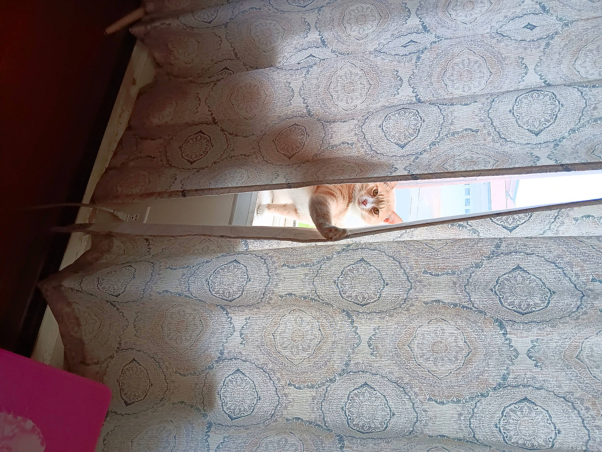 Tinker is registered to the contest to win money with this photo: beige, brown, ceiling, door, floor, flooring, hardwood, linens, material_property, metal, pattern, plywood, rectangle, room, shade, textile, tints_and_shades, window_treatment, wood, wood_stain