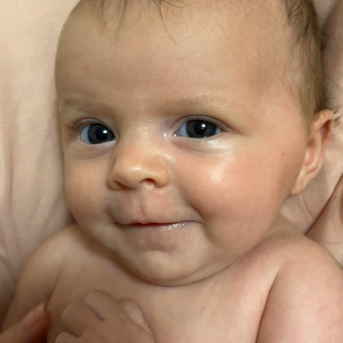 Dayzlee Ann Myree joined the competition — help win amazing prizes! baby, infant, face, skin, eyes, smile, child, newborn, portrait, closeup, cute, expression, human, person, soft, warm, innocence, hand, blanket, indoors