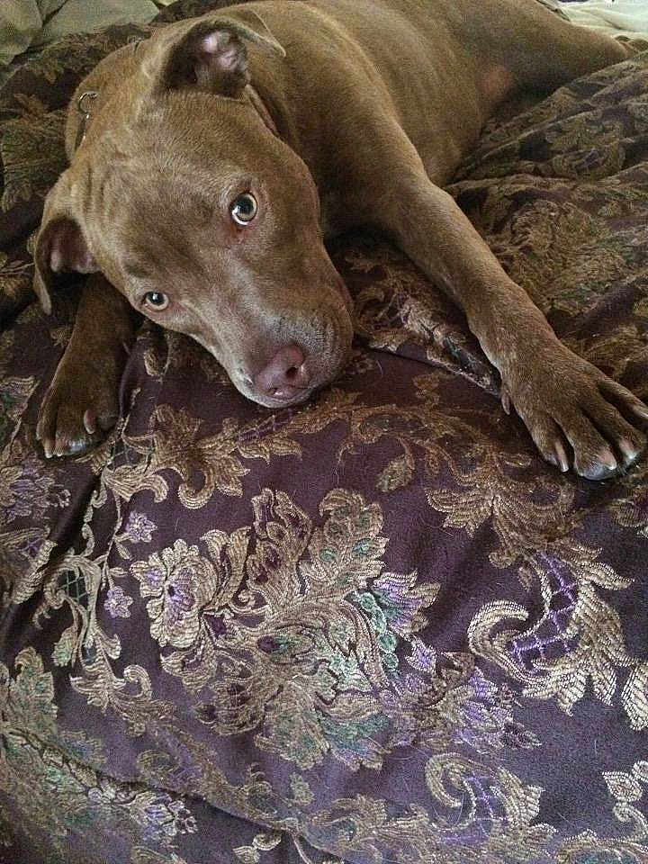 Nala