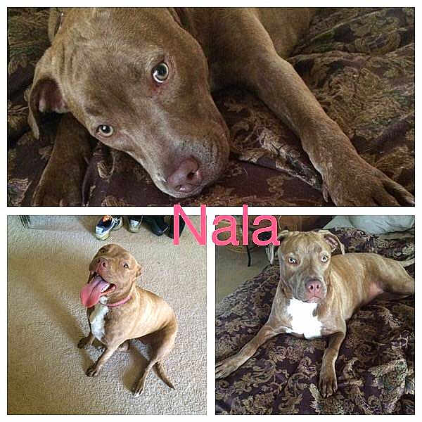 Nala