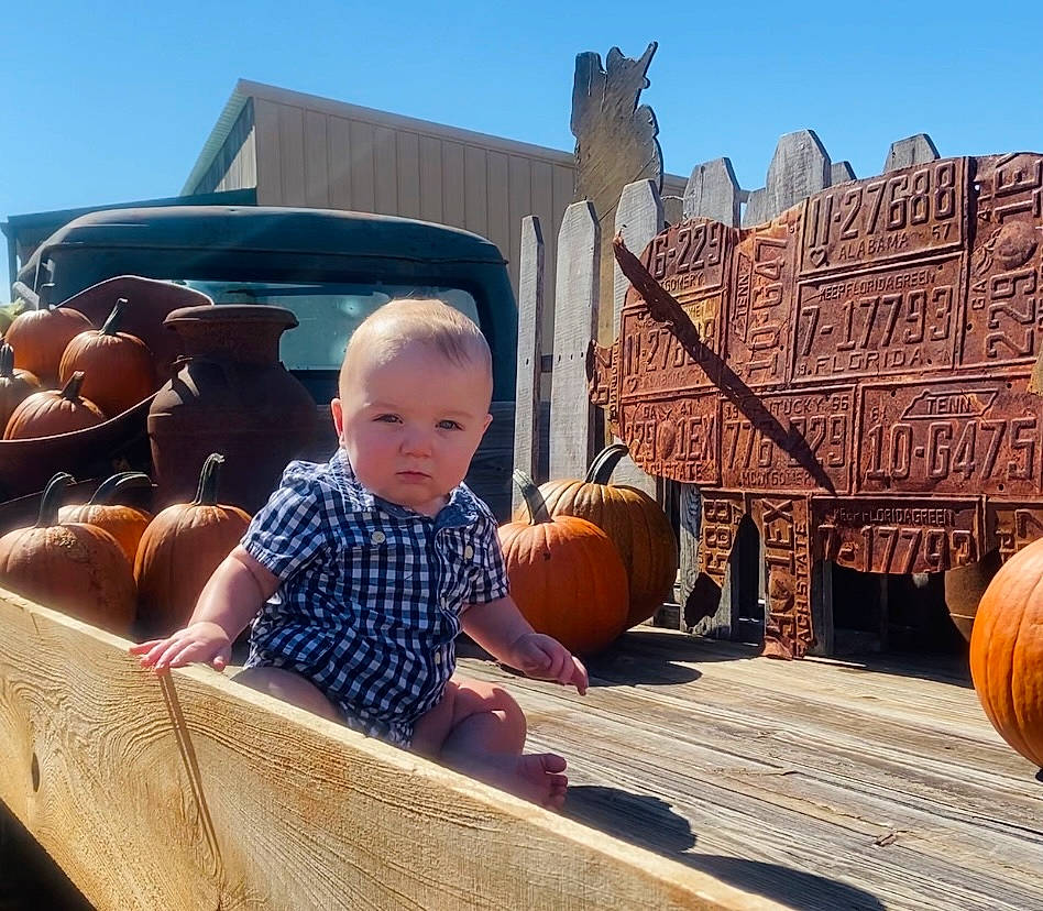 Tyson is registered to the contest to win money with this photo: art, baby, building, calabaza, cucurbita, fun, gourd, leisure, local_food, natural_foods, orange, person, pumpkin, sitting, sky, squash, toddler, travel, vegetable, winter_squash