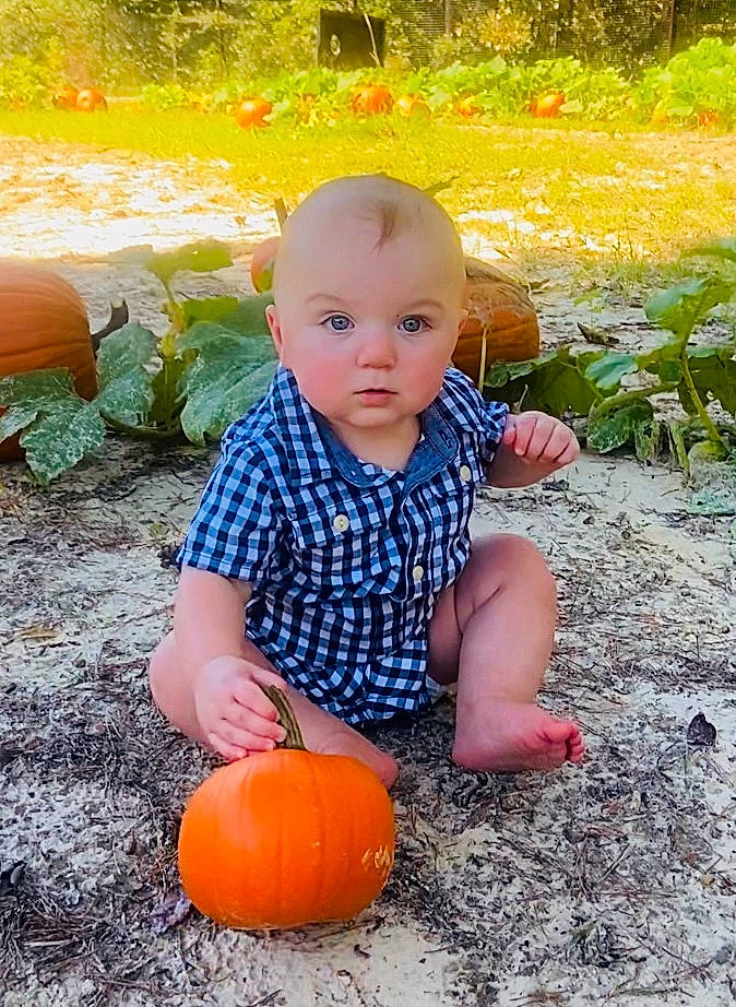 Tyson joined the competition — help win amazing prizes! baby, baby_toddler_clothing, child, eye, grass, happy, head, human_body, leaf, orange, people_in_nature, person, photograph, plant, pumpkin, shorts, sunlight, t_shirt, toddler, tree
