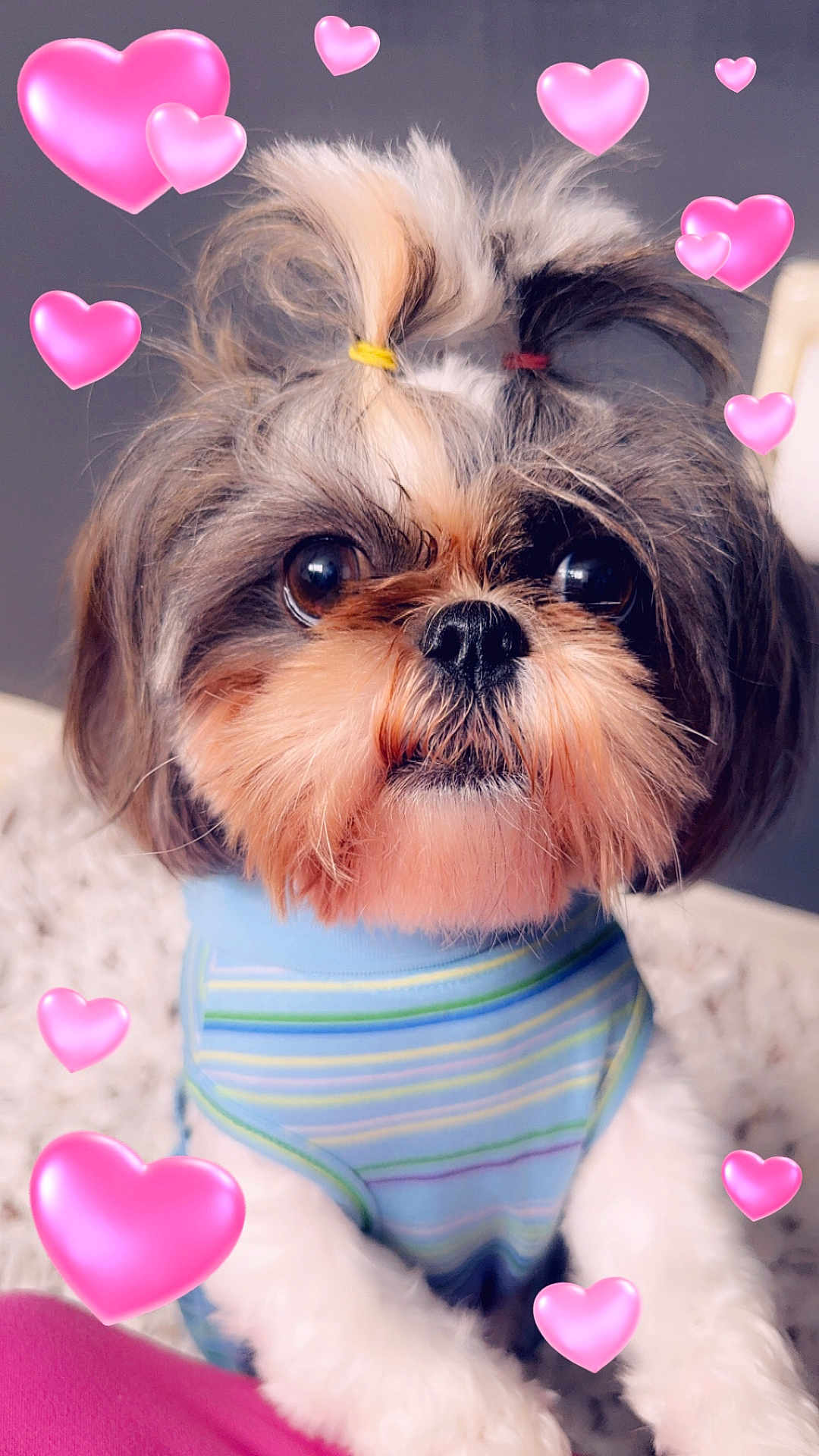 Maggie