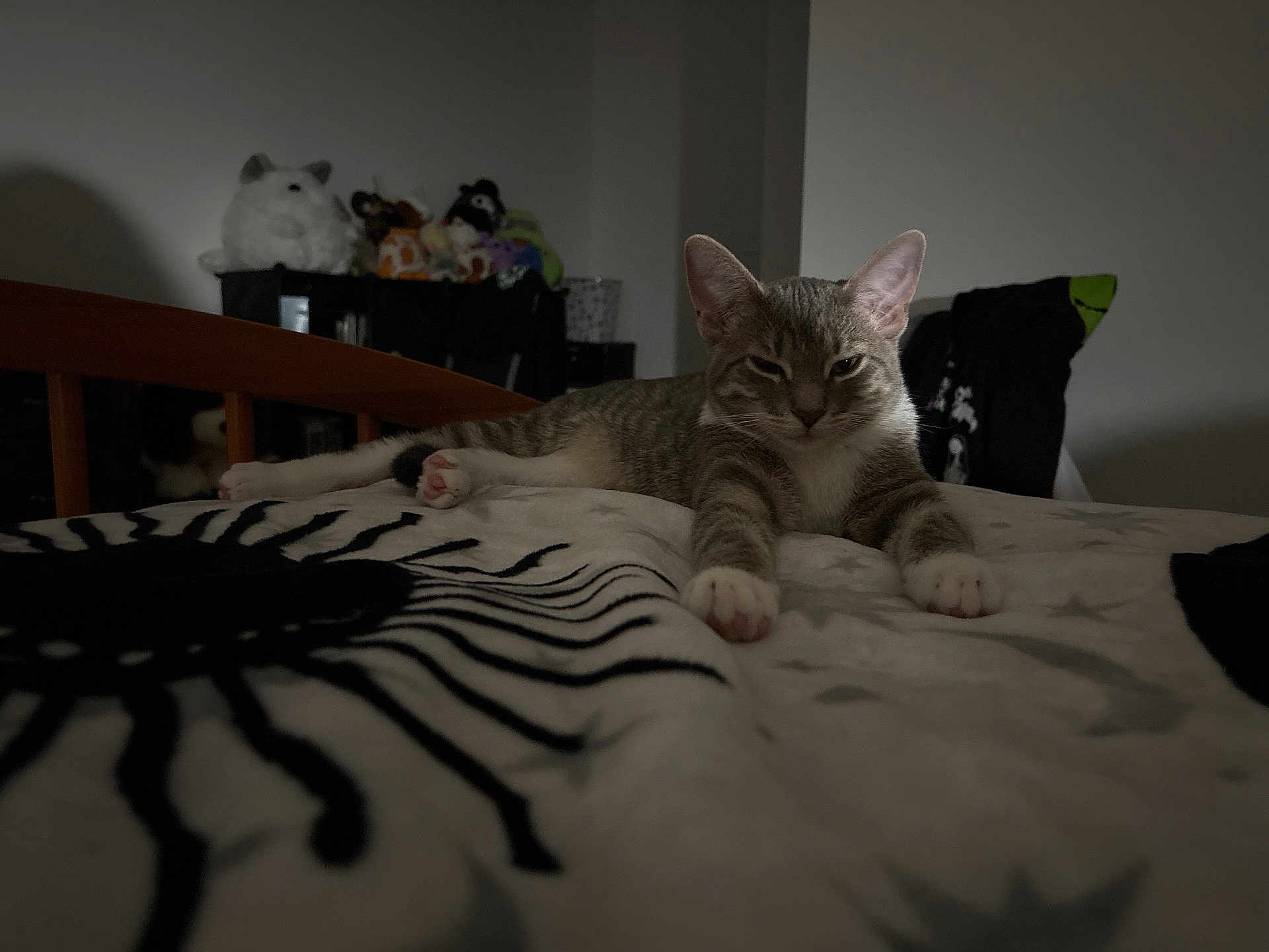 Willow is registered to the contest to win money with this photo: cat, tabby, bed, blanket, striped_pattern, paws, indoor, plush_toys, furniture, relaxed, animal, pet, sleepy, cozy, room, wooden_bedframe, soft_lighting, resting, cute, domestic_cat