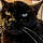 Blackie