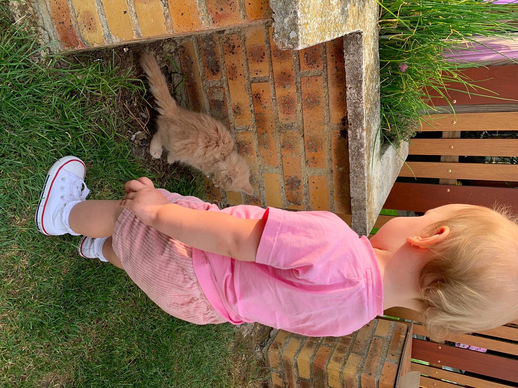 Anaé participe au concours pour gagner de l'argent avec cette photo : baby, baby_toddler_clothing, child, foot, fun, grass, human_leg, knee, leisure, magenta, people_in_nature, person, pink, plant, sitting, sock, soil, thigh, toddler, tree