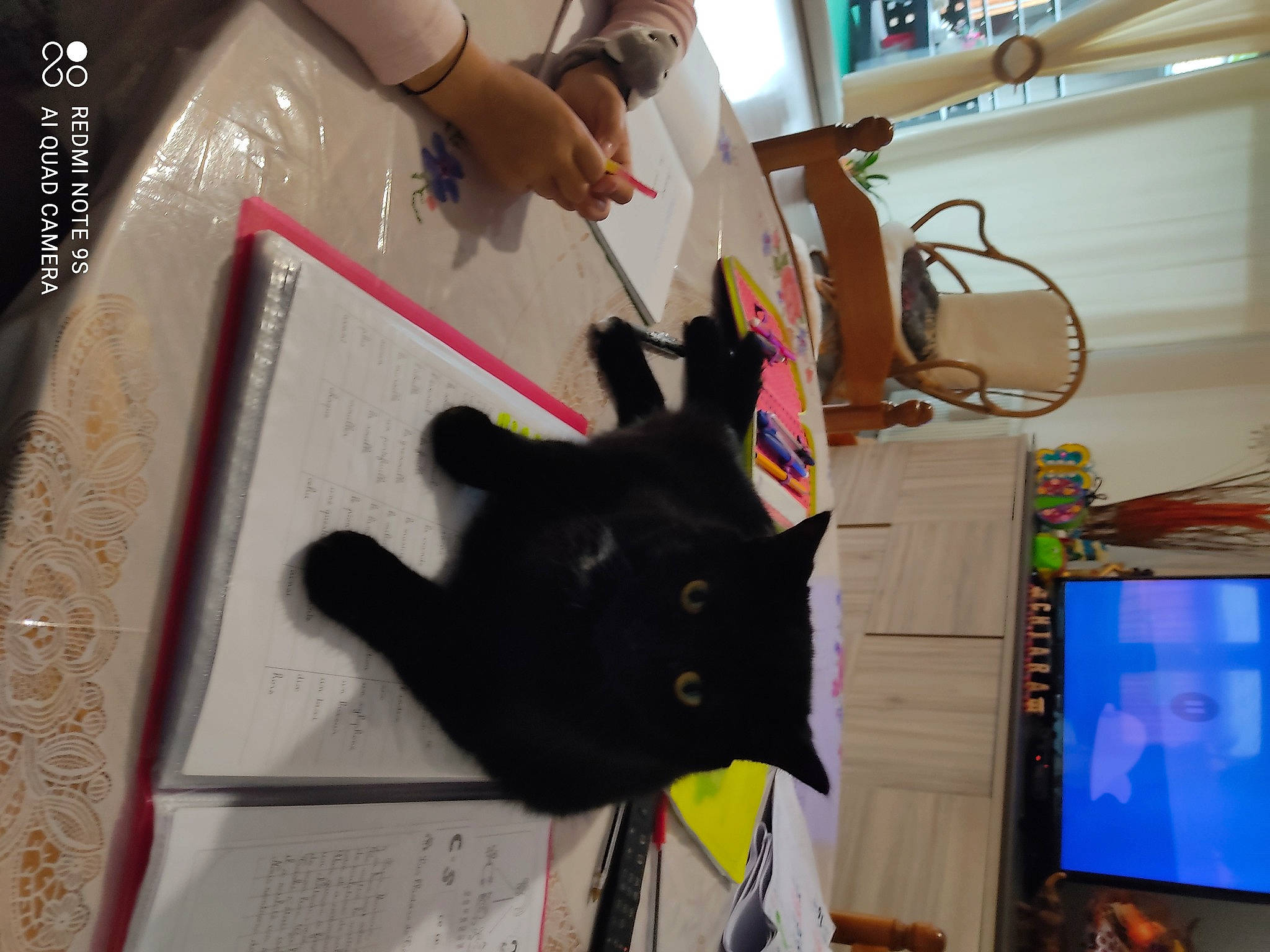 Princesse a rejoint le concours — aidez-le/la à gagner de superbes lots ! black_cat, carnivore, cat, domestic_short_haired_cat, fashion_accessory, felidae, fur, paper, paper_product, personal_protective_equipment, room, small_to_medium_sized_cats, tail, toy, vertebrate, visual_arts, watch, whiskers