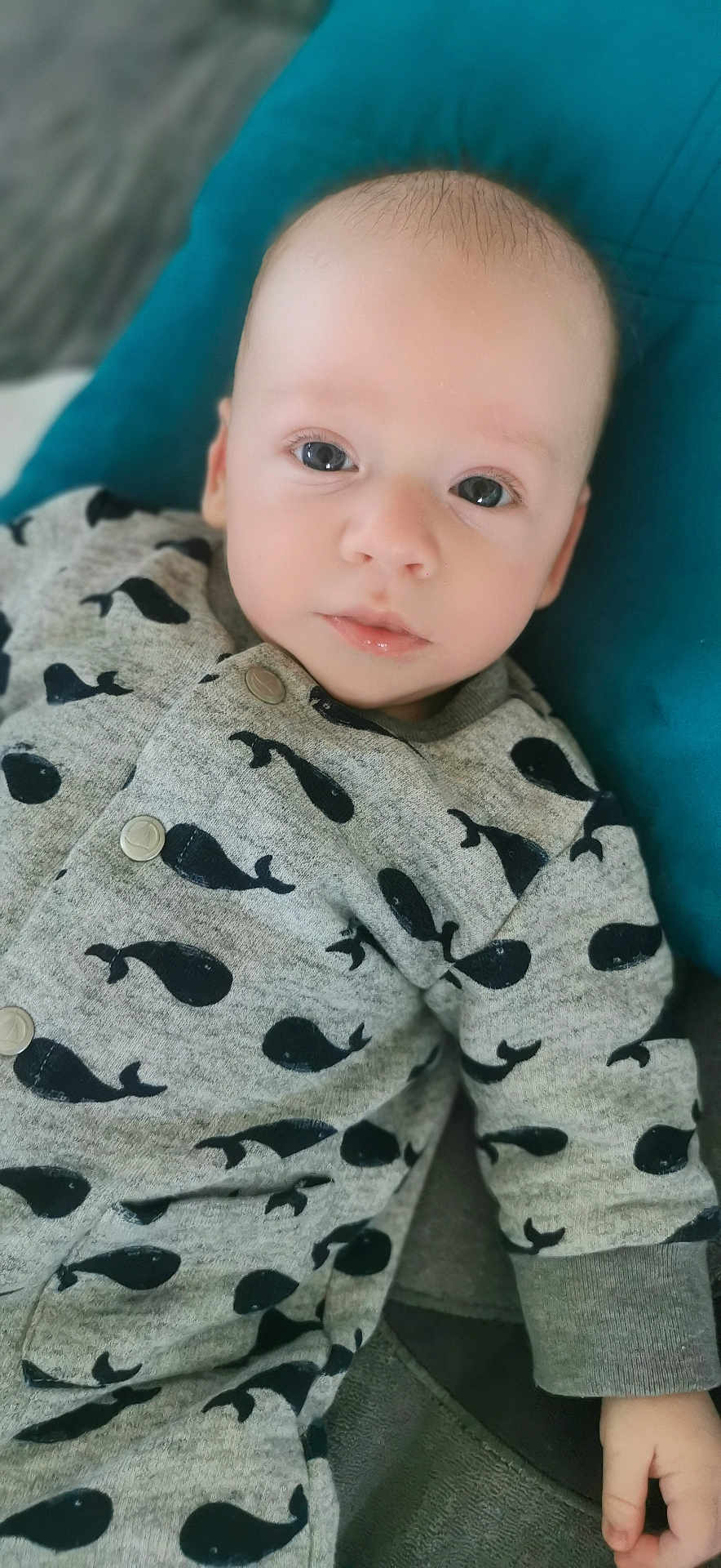 Milo participe au concours pour gagner de l'argent avec cette photo : baby, child, infant, onesie, whale_pattern, clothing, cushion, blanket, hand, face, portrait, indoor, soft_light, relaxing, cute, young_child, sleepwear, comfort, cozy, looking_at_camera