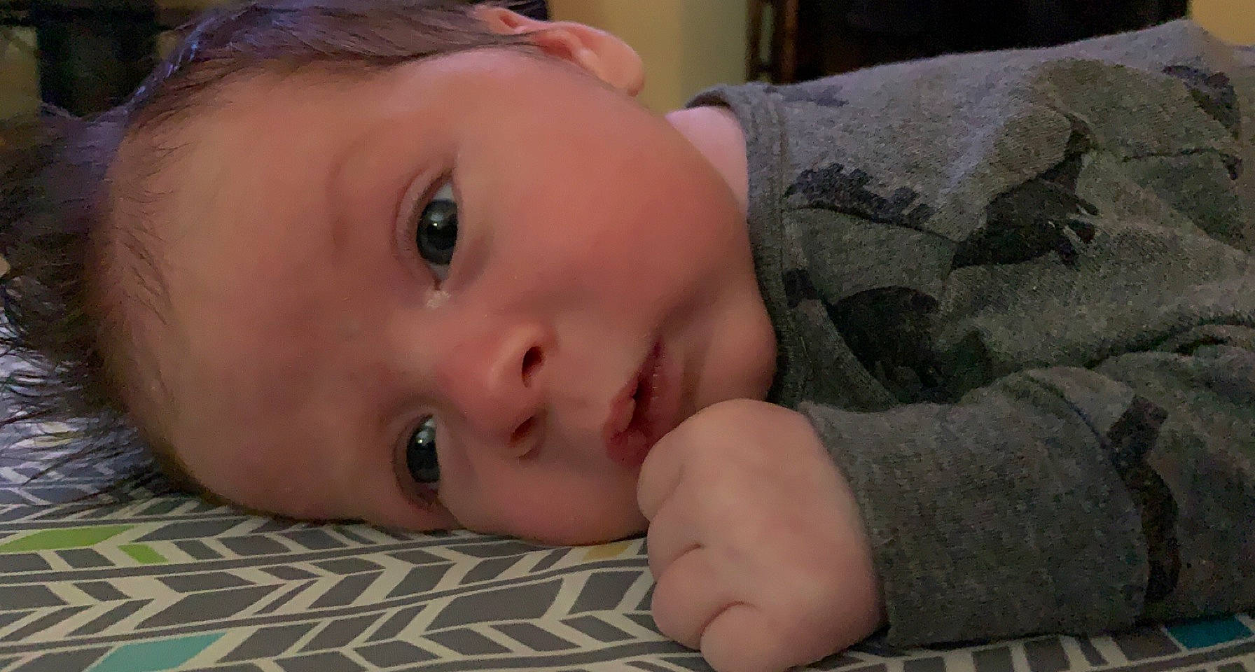 Beaux joined the competition — help win amazing prizes! cheek, child, chin, comfort, eyebrow, eyelash, face, forehead, fur, gesture, grass, happy, iris, lip, mammal, mouth, nose, person, skin, toddler