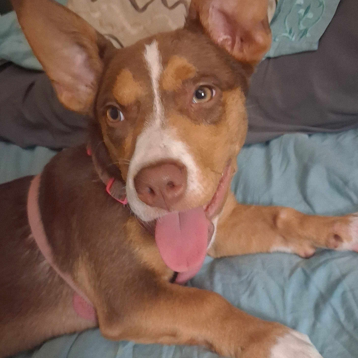 Winnie