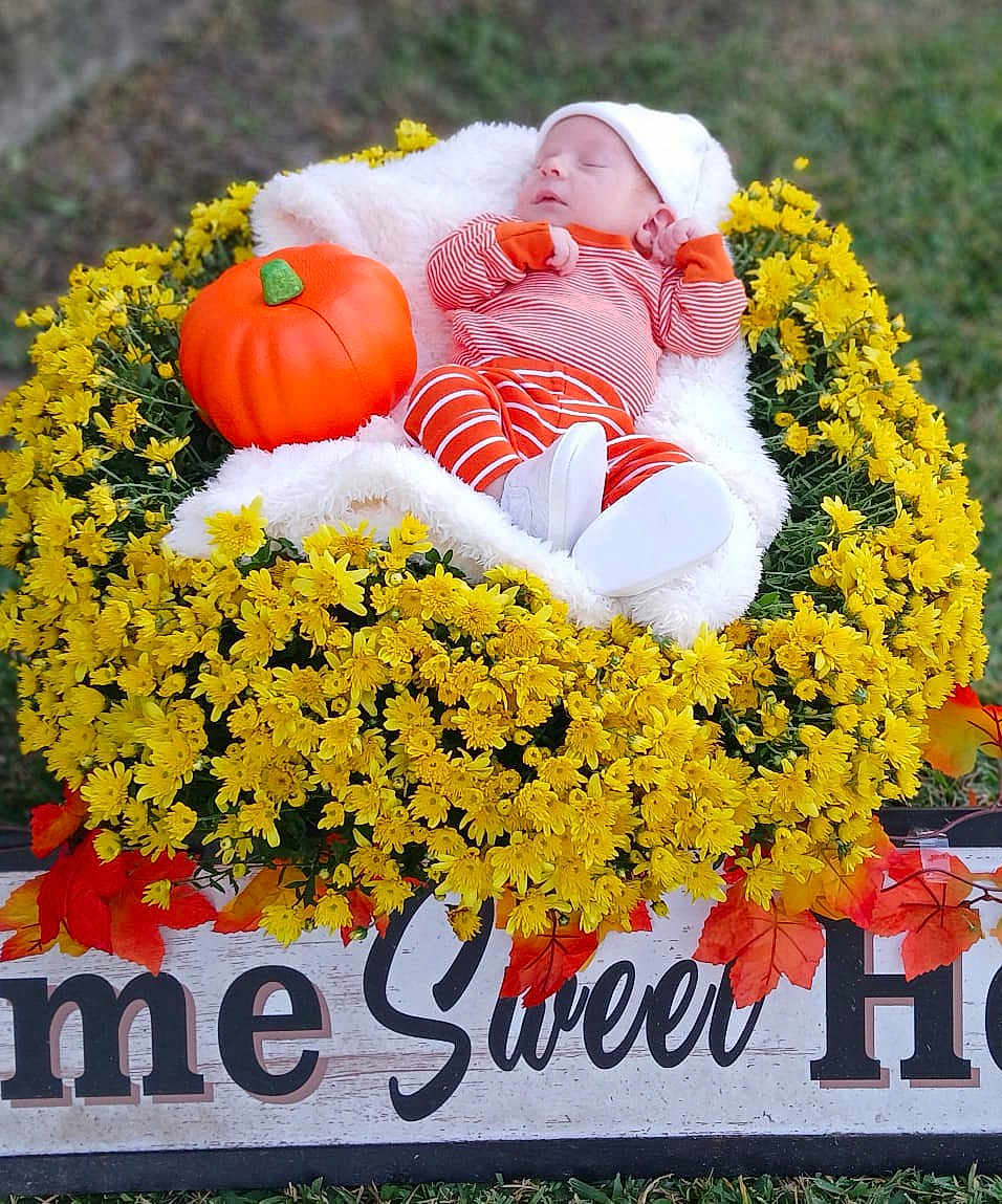 Cameron is registered to the contest to win money with this photo: baby, sleeping, orange_clothing, white_hat, white_blanket, yellow_flowers, pumpkin, autumn_leaves, wreath, outdoor, grass, sign, text, decor, seasonal, cute, peaceful, infant, portrait, holiday