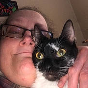 Gizmo joined the competition — help win amazing prizes! person, cat, glasses, indoor, close_up, black_and_white_cat, yellow_eyes, face, hand, cuddle, pet, affection, cozy, portrait, plaid_clothing, whiskers, feline, eyewear, happy, domestic_animal