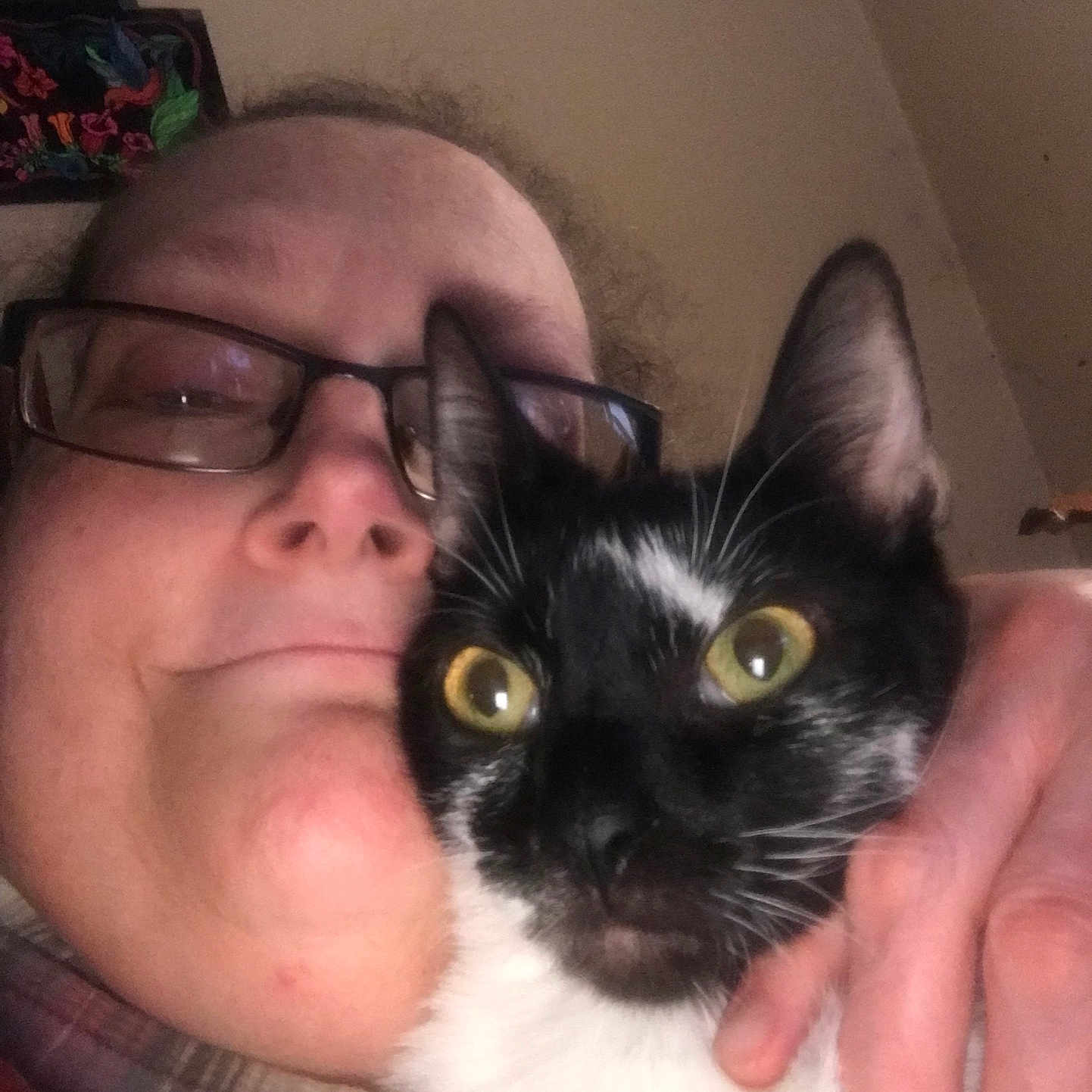 Gizmo joined the competition — help win amazing prizes! affection, black_and_white_cat, cat, close_up, cozy, cuddle, domestic_animal, eyewear, face, feline, glasses, hand, happy, indoor, person, pet, plaid_clothing, portrait, whiskers, yellow_eyes