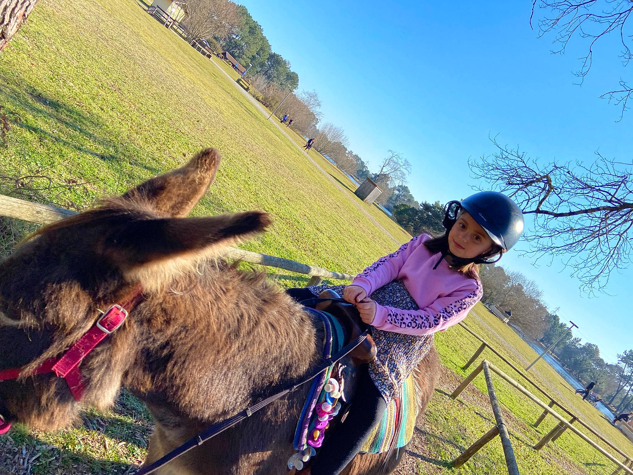 Edith participe au concours pour gagner de l'argent avec cette photo : bridle, fun, grass, grassland, happy, headwear, horse_tack, landscape, livestock, mountain, mountainous_landforms, pack_animal, people_in_nature, person, plant, recreation, rein, sky, travel, tree