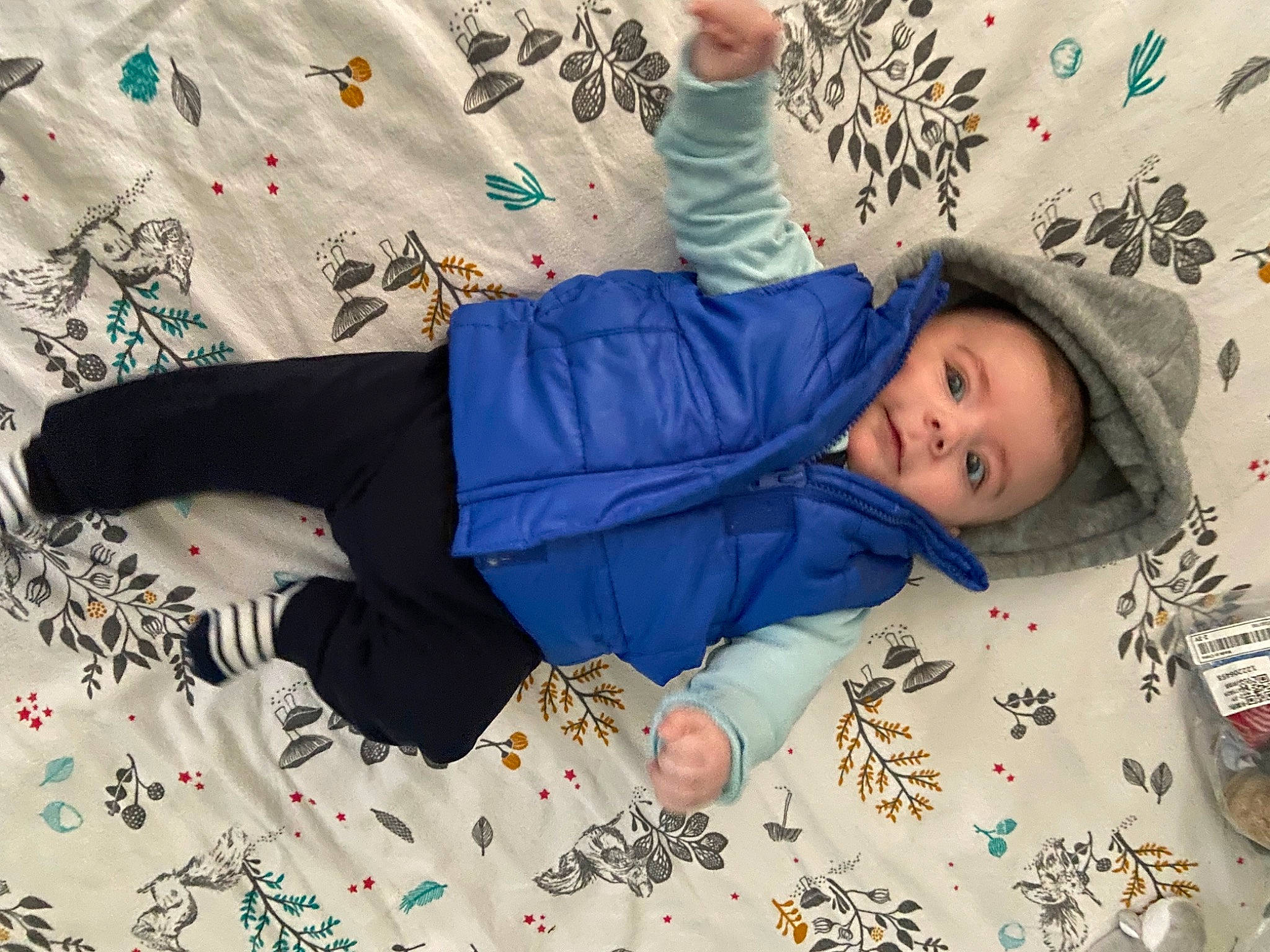 Isaak participe au concours pour gagner de l'argent avec cette photo : baby, baby_toddler_clothing, bedding, child, comfort, electric_blue, fun, leisure, linens, pattern, person, room, sitting, sleeve, snow, sock, textile, toddler, tree, winter